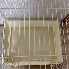 うさぎケージ　の画像