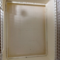 うさぎケージ　の画像