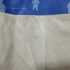 the  north face  ザノースフェイス　キッズTシャツ
の画像