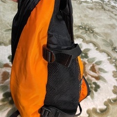 スリングバッグの画像