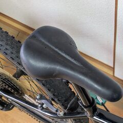 TREK Precaliber 24トレック キッズバイク 24インチ マウンテンバイクの画像