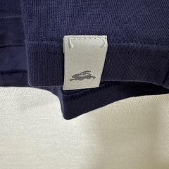 キッズ　Tシャツの画像