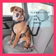 犬用シートベルト　ブラック　２セットの画像