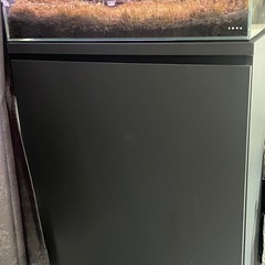特価‼︎ DOOA ネオグラスパルダ　レイアウト込み　水槽台付きの画像