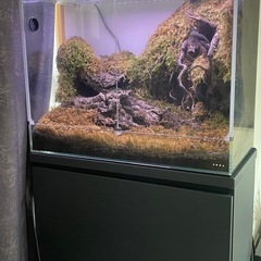 特価‼︎ DOOA ネオグラスパルダ　レイアウト込み　水槽台付きの画像