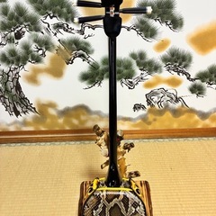 沖縄三線！新品！貴重！知念大工型！本蛇皮！本張り！【一枚張り】⑭の画像