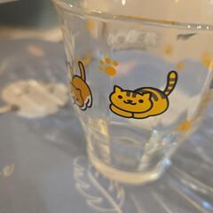 ねこあつめガラスコップの画像