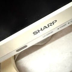 テレビの画像