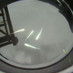 めだか-チカチカミユキ鉄仮面5匹の画像