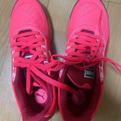 フットサルシューズの画像