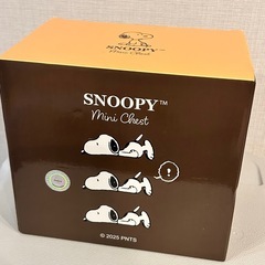SNOOPY™ Mini Chest（スヌーピー ミニチェスト）の画像