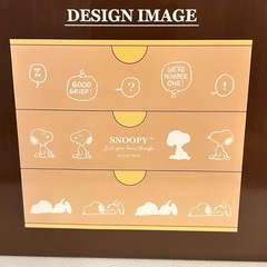 SNOOPY™ Mini Chest（スヌーピー ミニチェスト）の画像