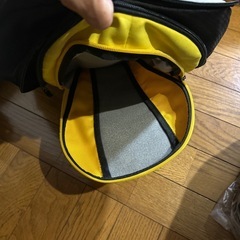 ミズノリュックの画像