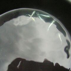 めだか-プラチナミユキの画像