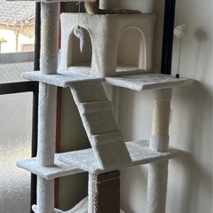 キャットタワーの画像