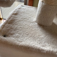 キャットタワーの画像