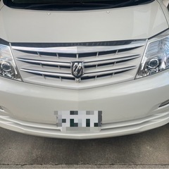 10系アルファード後期MZ  の画像