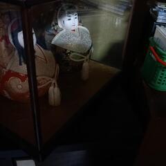 ダルマのお雛様？の画像