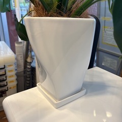 【観葉植物】【モンステラ】※全長約70cm※【管理番号10409】町の画像