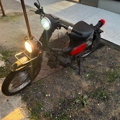 スーパーカブ50ccの画像