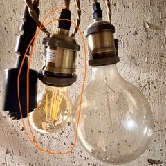 ソケット付き電球の画像