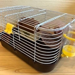 ハムスターケージの画像
