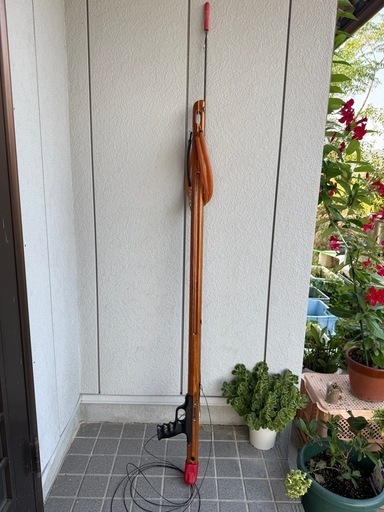 RIFFE水中銃スピアフィッシング