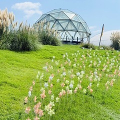 名古屋や三重で遊んだり通話できるお友達🌿