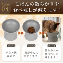 陶器製のペットのお皿の画像