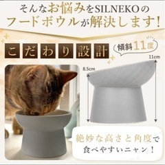 陶器製のペットのお皿の画像