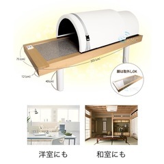 【Bランク】温活♨️岩盤浴ドーム型サウナの画像