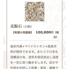 【Bランク】温活♨️岩盤浴ドーム型サウナの画像
