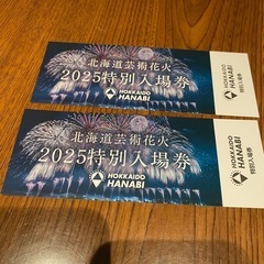 北海道芸術花火　モエレ沼