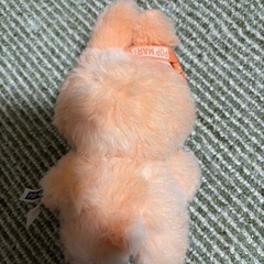 新品ラブブの画像
