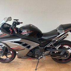 ninja250の画像