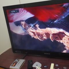ＤＶＤ，ディズニー、ダルメシアン１０２の画像