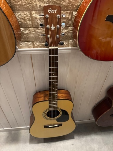Cort AD850NS アコースティックギター　美品　