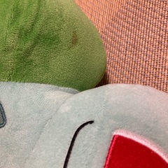 ポケモンの画像