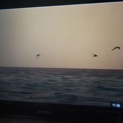 ＤＶＤ，夏川りみ、琉球の風の画像