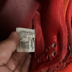 NIKE ダンクロー　レッドの画像