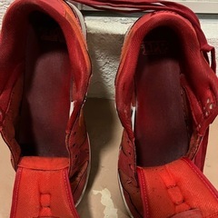 NIKE ダンクロー　レッドの画像