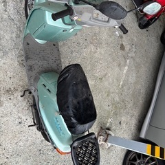 ヤマハ　ミント　の画像
