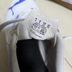 PUMAフットサルシューズ 23cmの画像