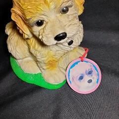番犬くんの画像