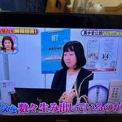 東芝レグザ液晶テレビ26型の画像