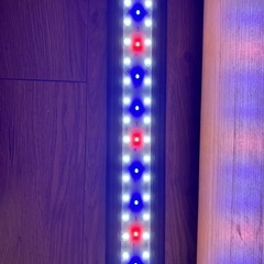 水槽ライト  LED  41〜66cm の画像