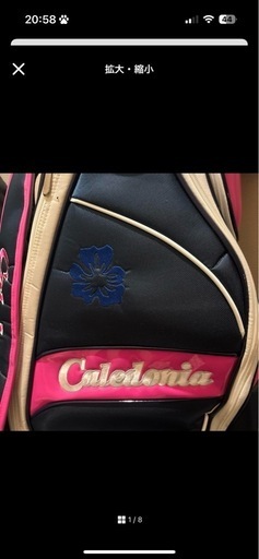 Caledonia ゴルフクラブセット