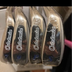 Caledonia ゴルフクラブセットの画像