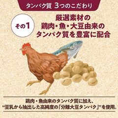 Physicalife フィジカライフ ドッグフード 800gの画像