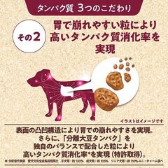 Physicalife フィジカライフ ドッグフード 800gの画像
